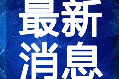 深圳王先生最新爆料视频,揭秘事件背后惊人真相!